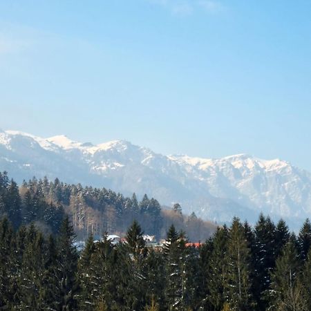 Vintage Home Sinaia Exterior photo