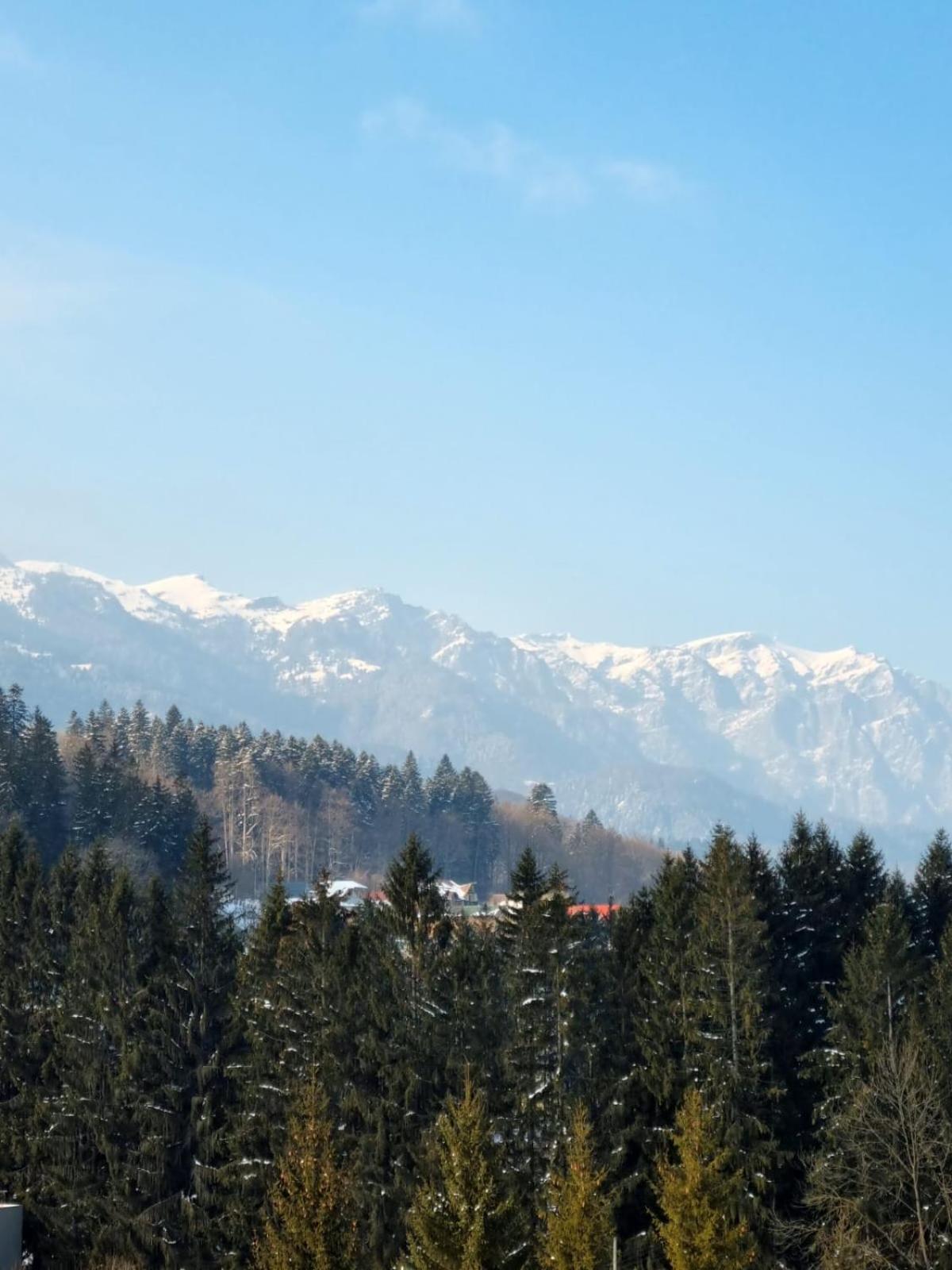 Vintage Home Sinaia Exterior photo